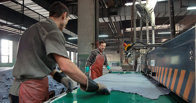 Кожевенная промышленность