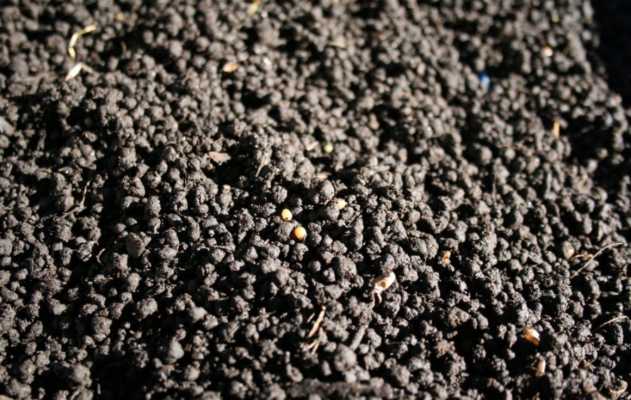 Открытие цеха по производству биогумуса