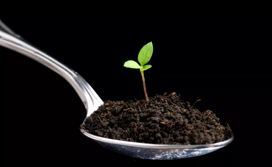 Открытие цеха по производству биогумуса