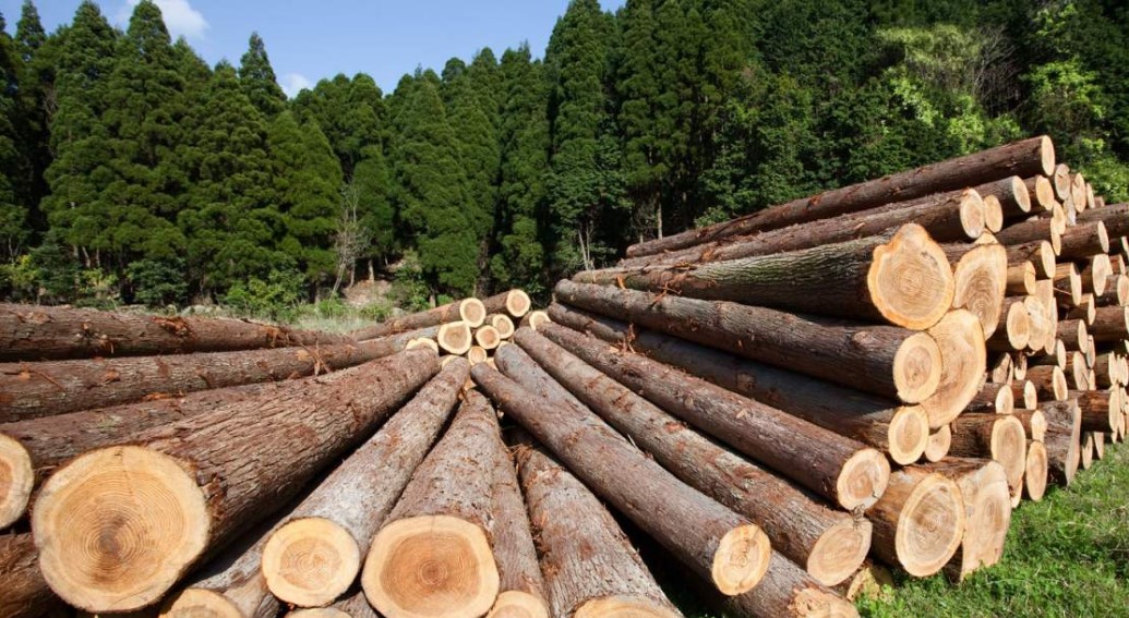 Производство пиломатериалов