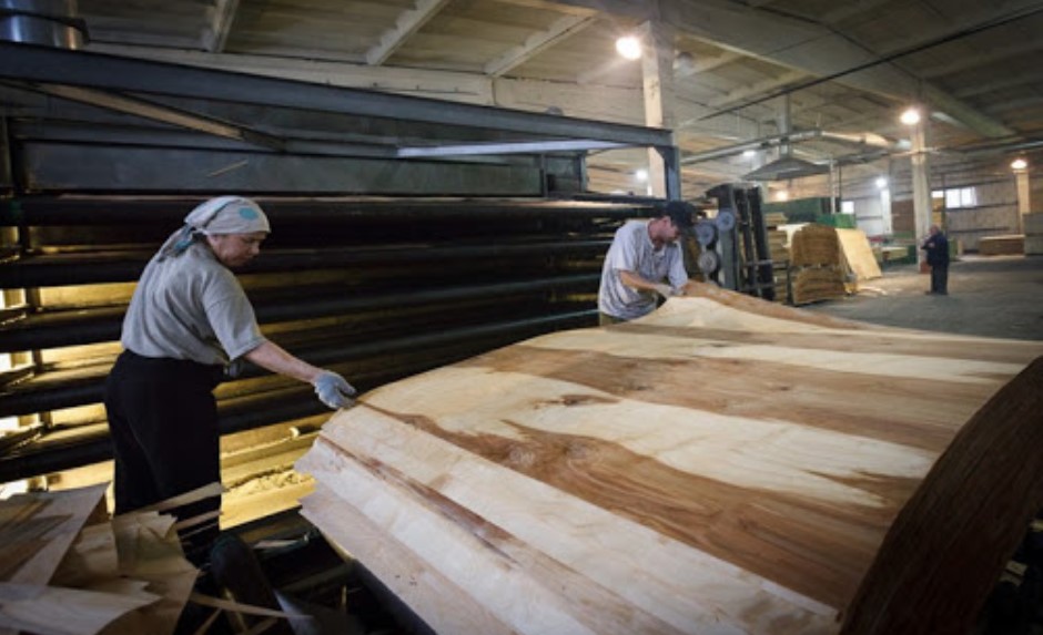 Цех по производству фанеры