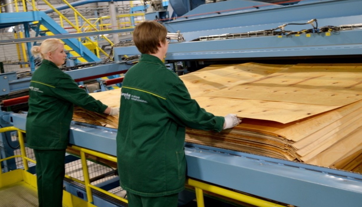 Цех по производству фанеры