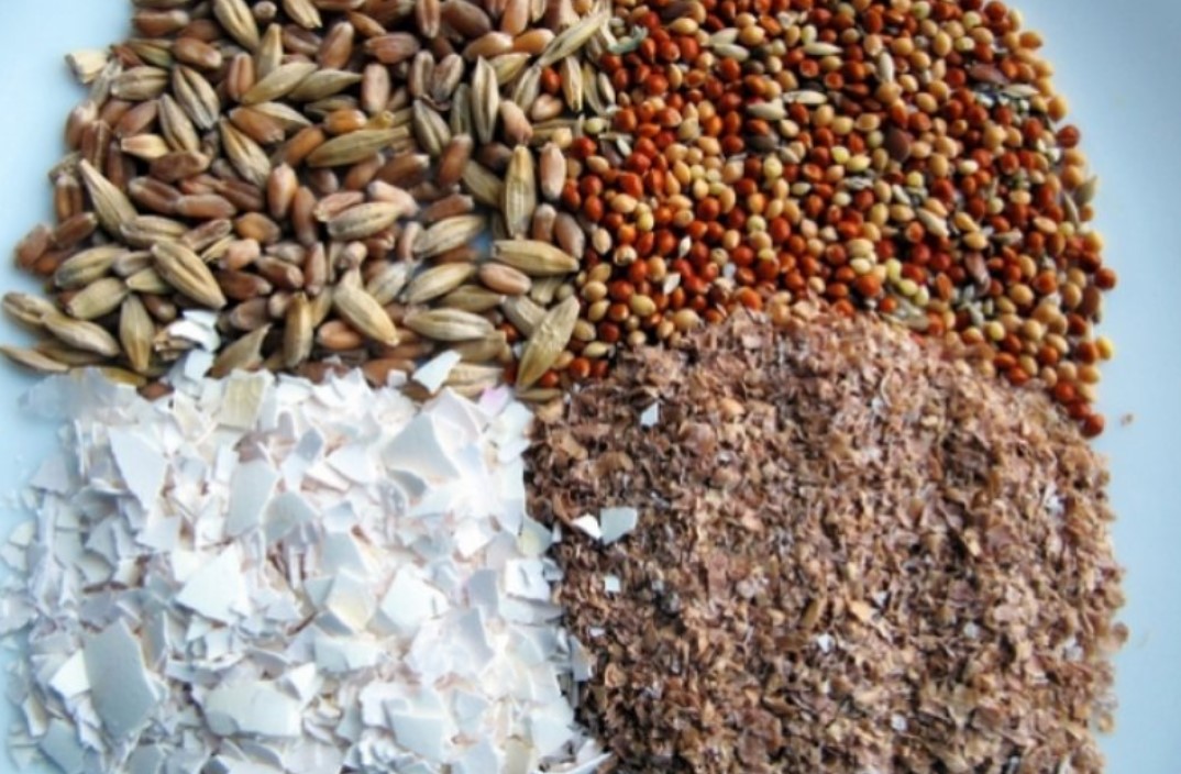 Оборудование для производства комбикорма