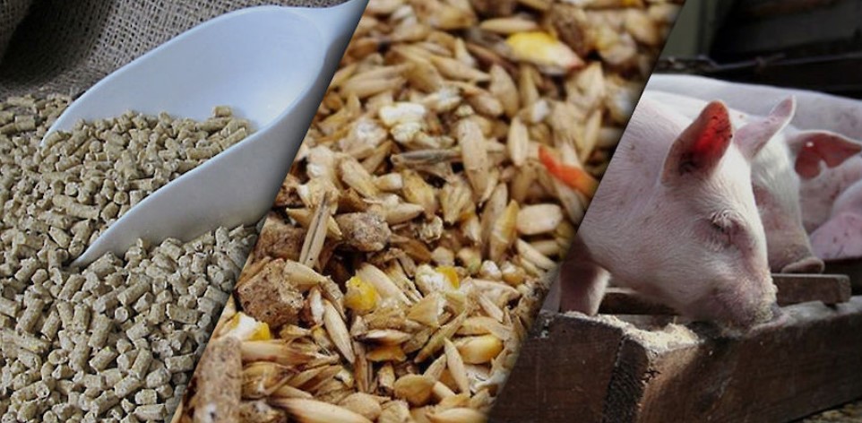 Оборудование для производства комбикорма