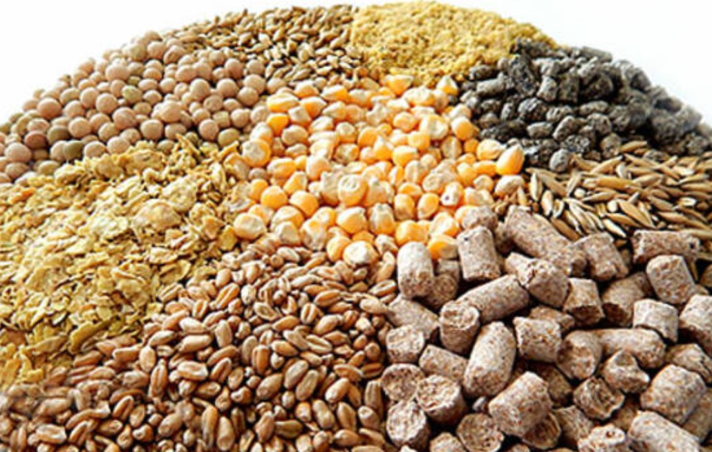 Мини комбикормовый завод