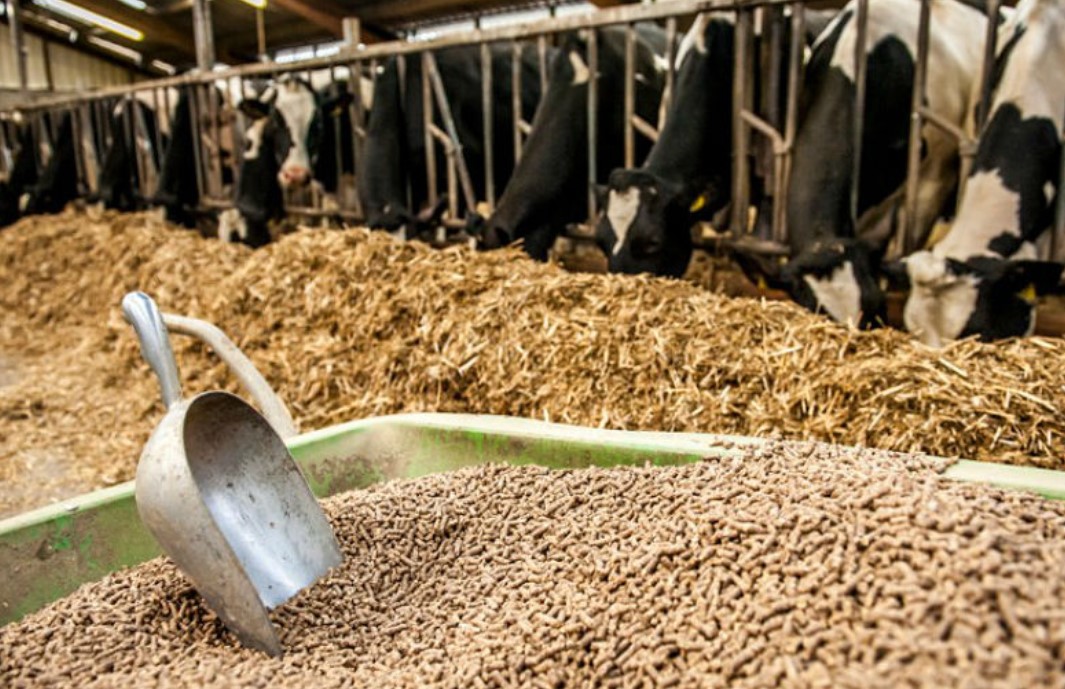 Открытие цеха по изготовлению комбикормов