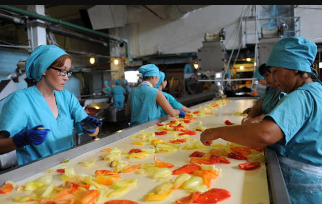 Цех по изготовлению мясных, рыбных и овощных консервов