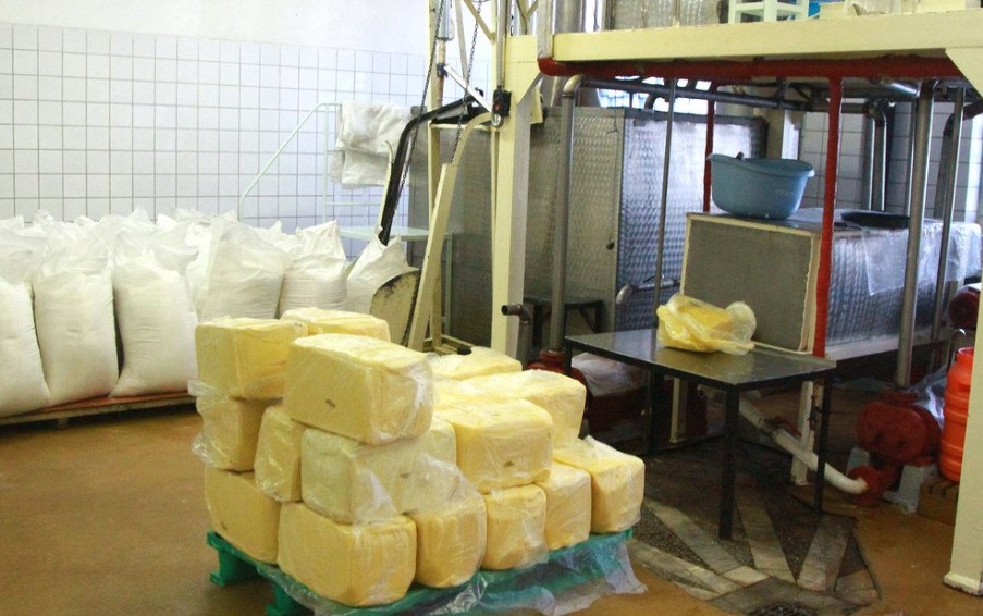 Открытие цеха по производству сливочного масла