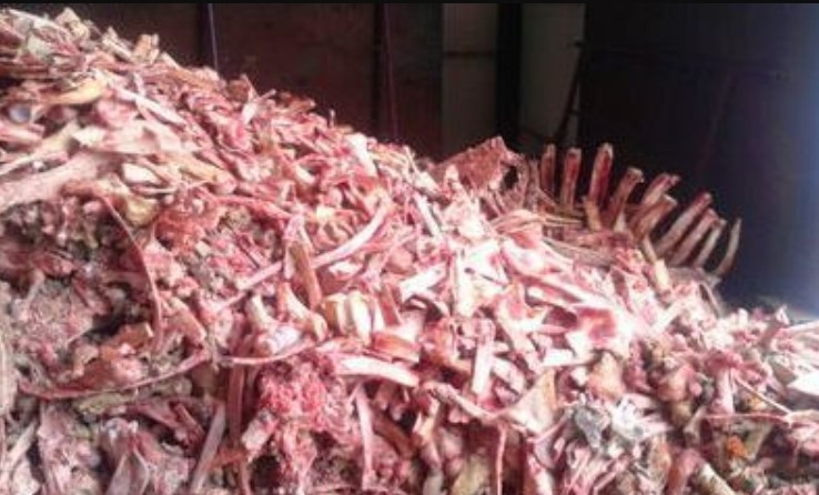 Производство мясокостной муки