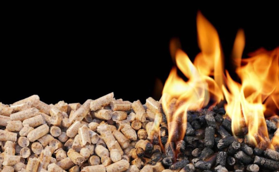 Открытие производства пеллет