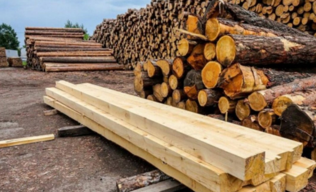 Открытие пилорамы