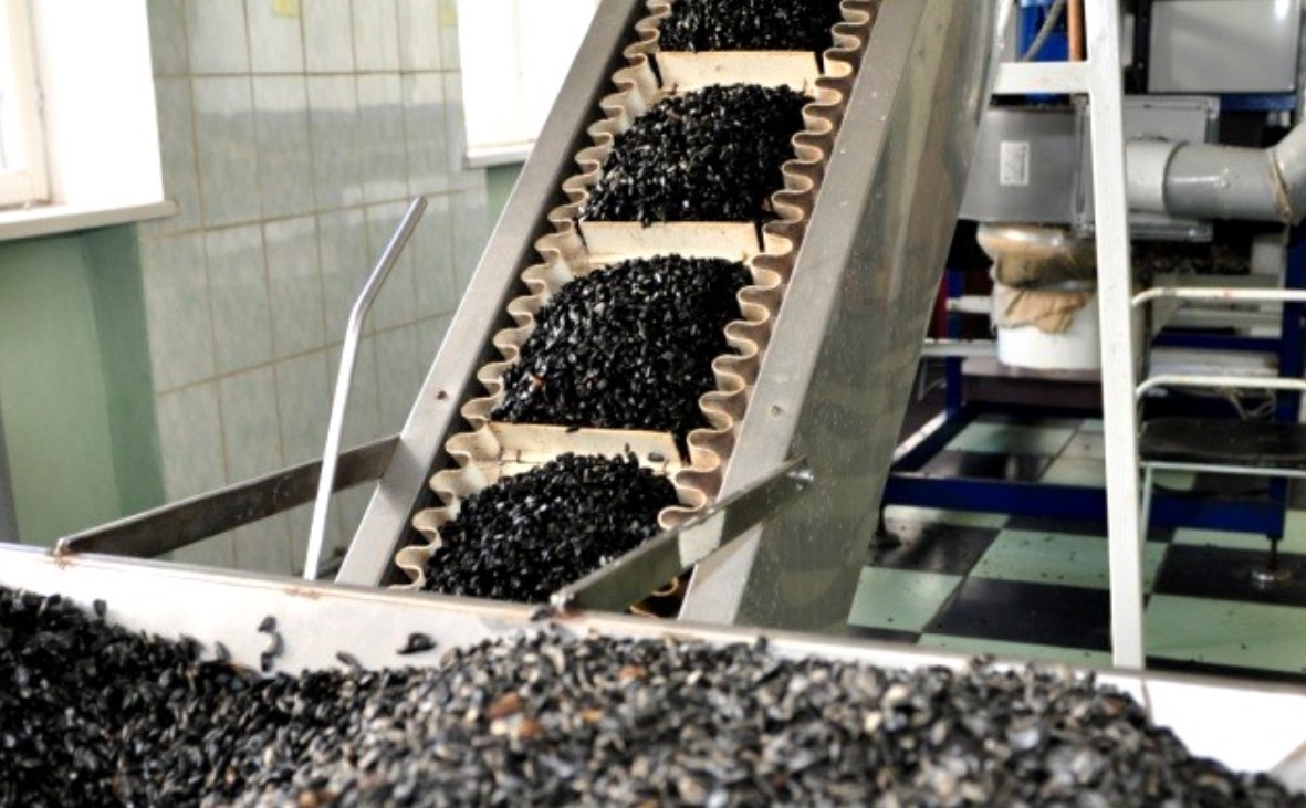 Цех по изготовлению семечек