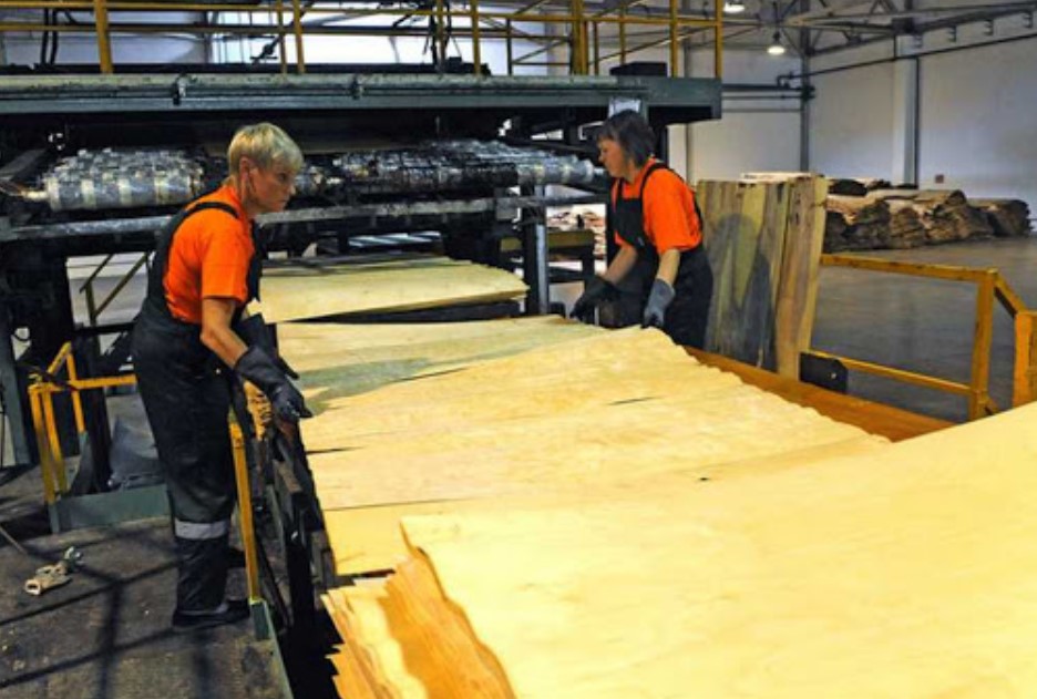 Производство шпона: разновидности, процесс изготовления и оборудование