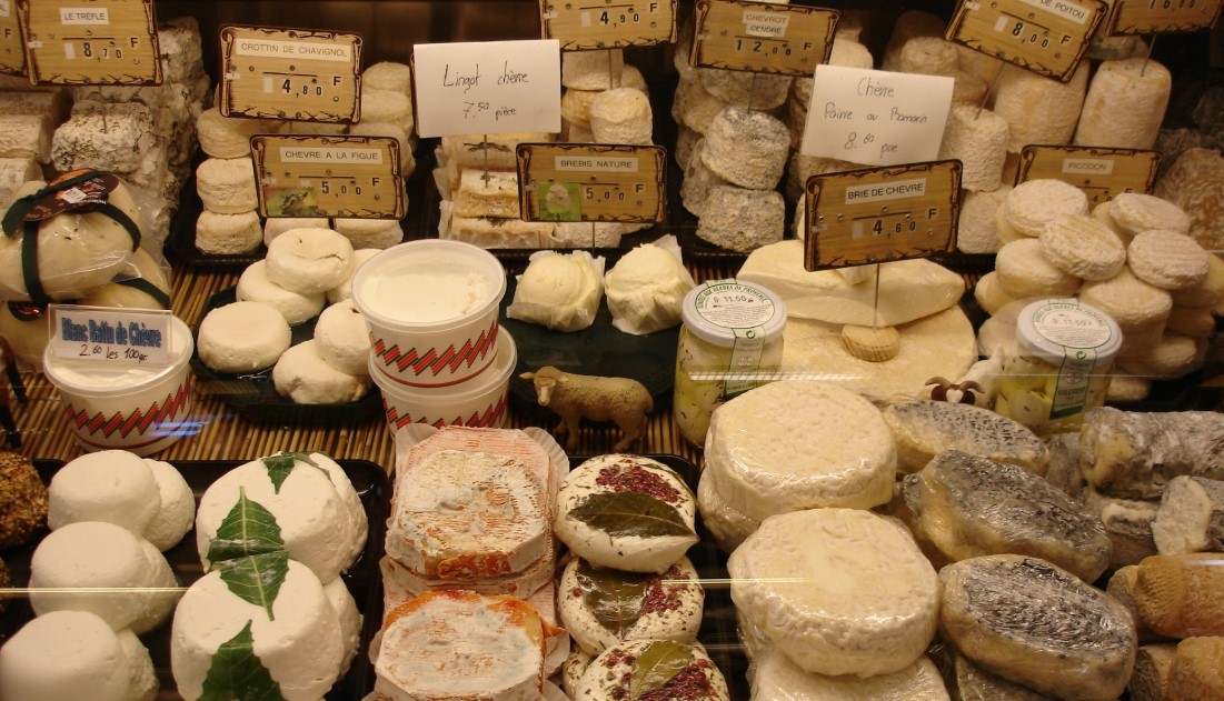 Производство сыра: ассортимент, оборудование и технология изготовления