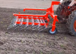 Штригельная борона для прополки чеснока
