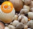 Кальций ракушечник-молотый для с/х животных и подкормки птиц,  отвечающих требованиям ГОСТ 26826-86