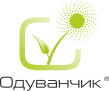 Ортоксилол