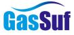 GasSUF 2021