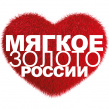 Мягкое Золото России 2024