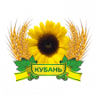 Кубань 2025
