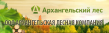 Архангельская Лесная Компания
