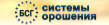 БСГ