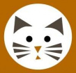 Кот в Кубе