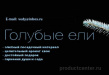 Веди