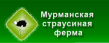 Страусиная ферма Северное сияние