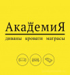 Академия