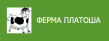 Платоша