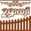 29 Профи
