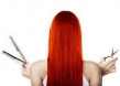 Sunny Hairs