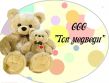 Топ медведи