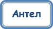 Антел