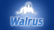 Walrus
