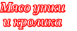 АПС Северо-Запад