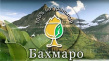 Бахмаро