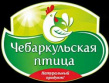 Чебаркульская птица