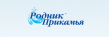 Родник Прикамья