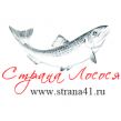 Страна Лосося