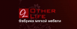 Other Life