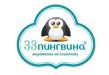 33 пингвина
