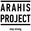 ArahisProject
