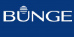 Бунге СНГ