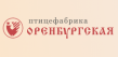 Птицефабрика Оренбургская