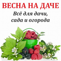 Весна на даче. Цветы Кубани 2025