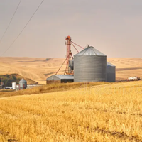 Новгородское Зерновое Предприятие №28