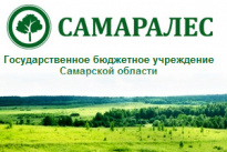 Самаралес