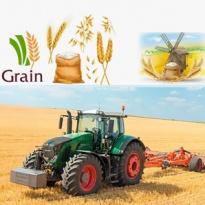 Сельскохозяйственная Марёвская Корпорация